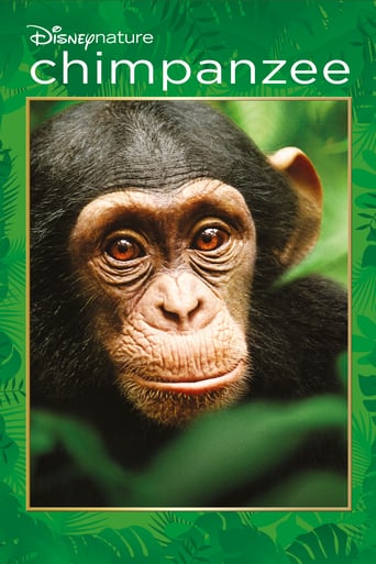 Chimpanzee ( 2012 ) HD