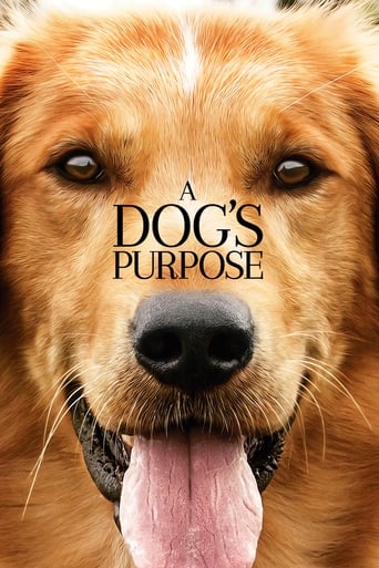 A Dog's Purpose ( 2017 )