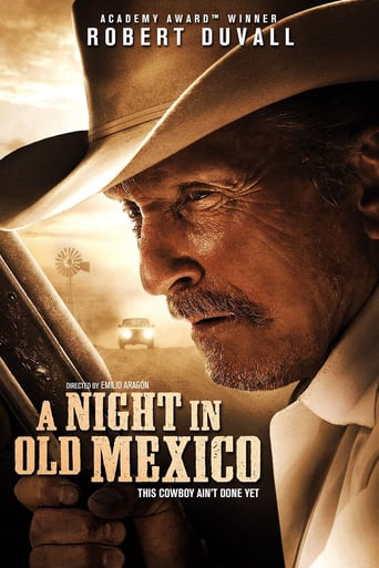A Night In Old Mexico (2013) Eng Sub