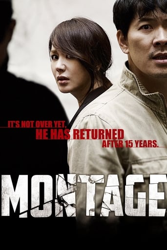 Montage ( 2013 )