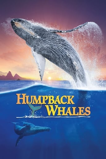 Humpback Whales ( 2015 )