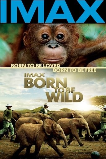 Born To Be Wild ( 2011 ) HD