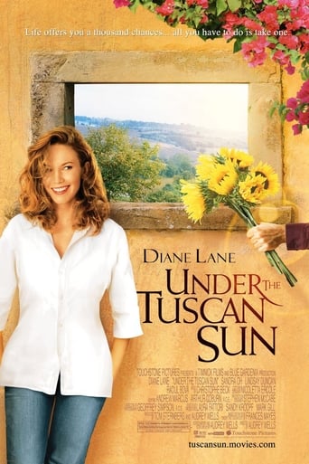 Under The Tuscan Sun ( 2003 )