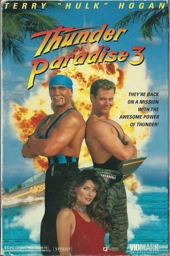 Thunder in Paradise 3 ( 1995 )