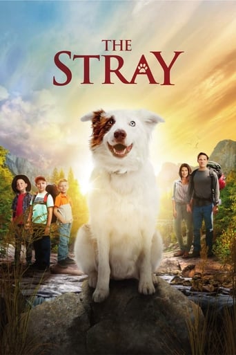 The Stray (2017) Multi Sub