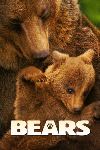  Bears (2014)