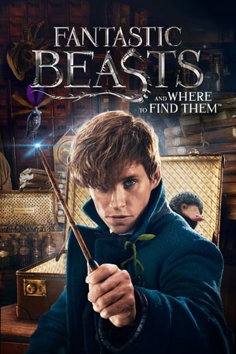   Fantastic Beasts and Where To Fi (2016) Multi Subnd Them