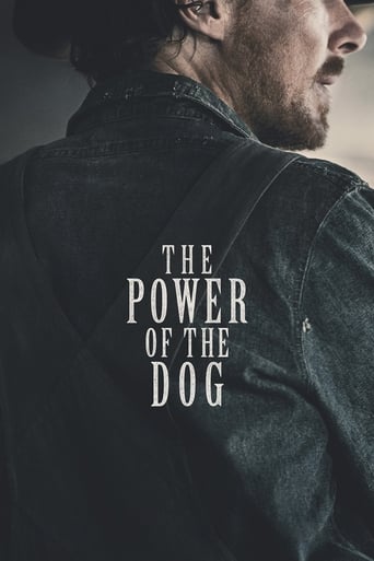 The Power Of The Dog ( 2021 )