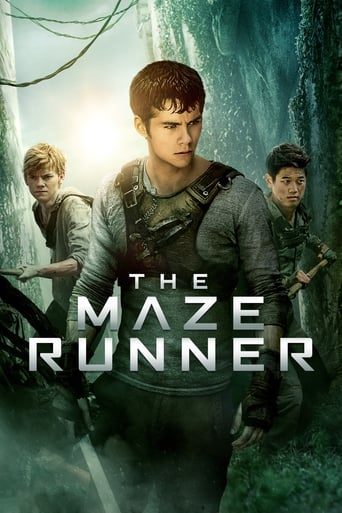 The Maze Runner ( 2014 ) 4K 