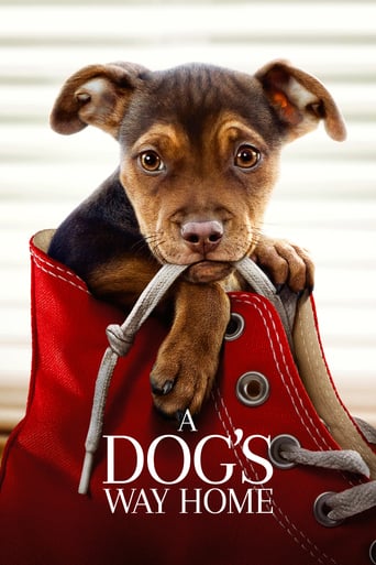 A Dog's Way Home (2019) Eng Sub