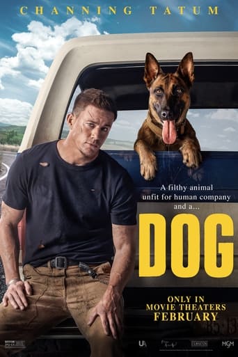 Dog  HD