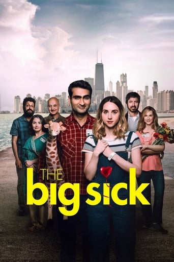 The Big Sick ( 2017 )