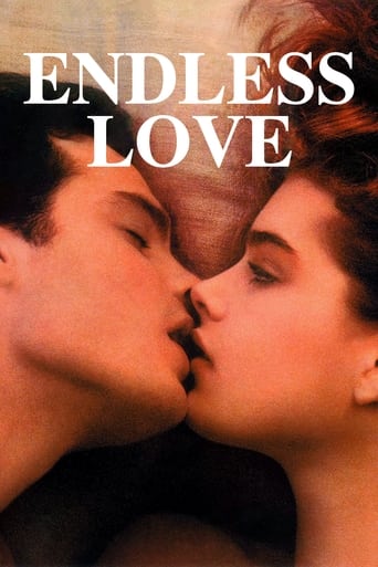 Endless Love (2014) Multi Sub