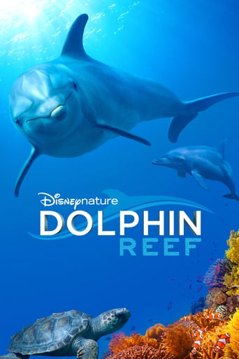 Dolphin Reef ( 2020 )