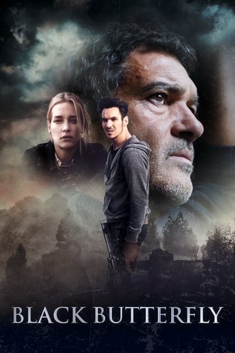 Black Butterfly ( 2017 )