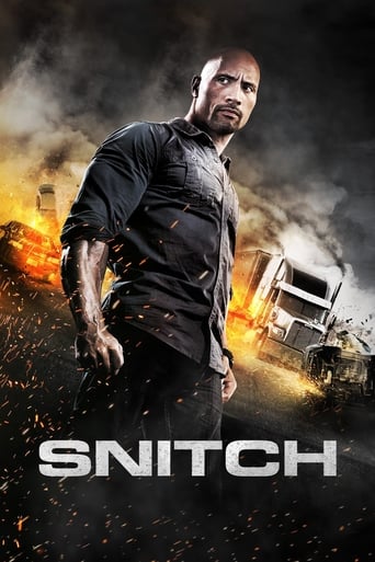 Snitch (2013) Multi Sub