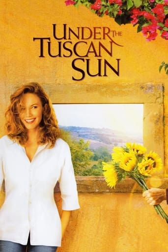 Under the Tuscan Sun (2003) Multi Sub