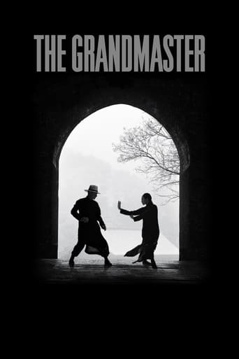 The Grandmaster (2013) Multi Sub