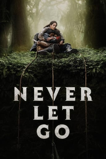 Never Let Go ( 2024 )