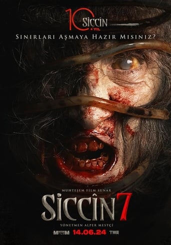 Siccin 7 ( 2024 )