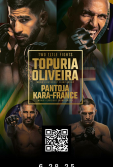 UFC 317