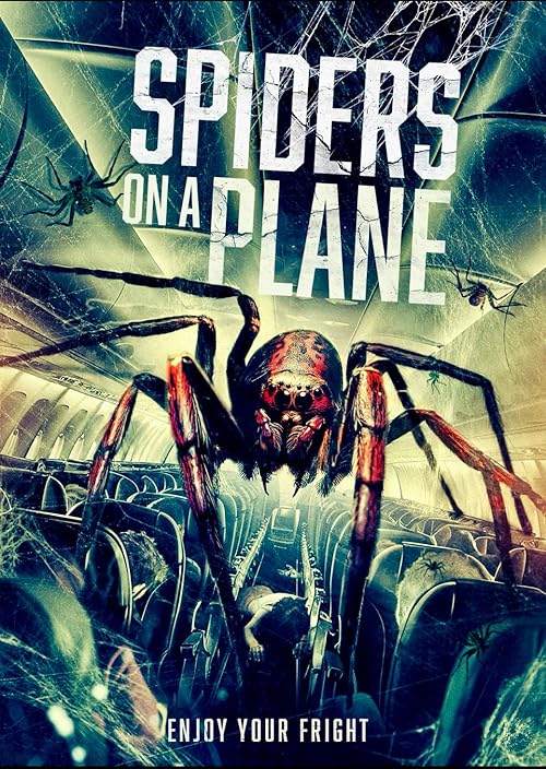 Spiders on a Plane ( 2025 )