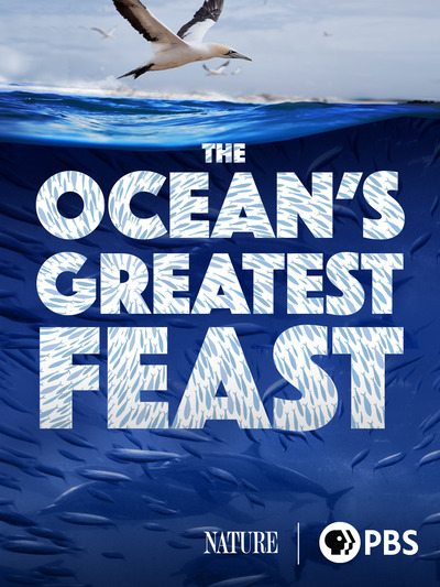 The Ocean’s Greatest Feast - اعظم وليمة فى المحيط [مترجم]