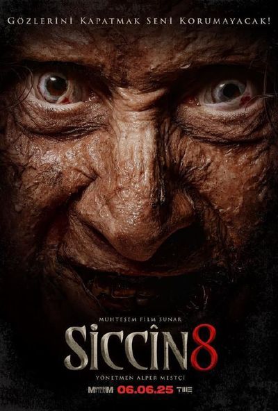 Siccin 8 ( 2025 )